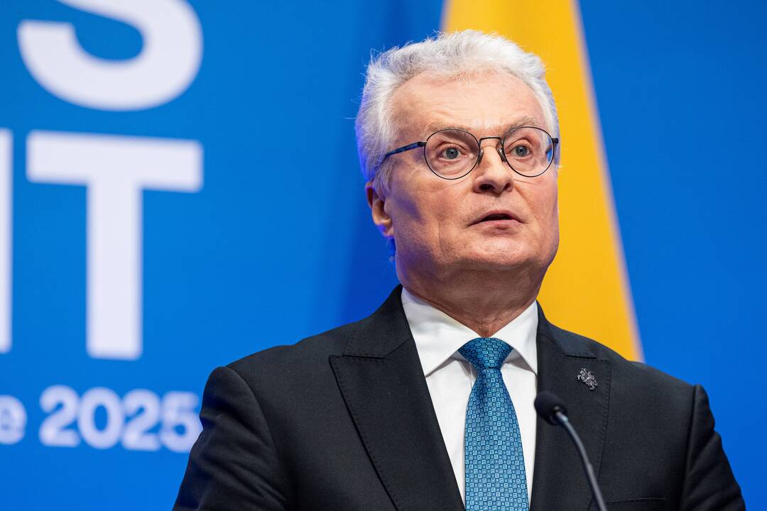 Vilniaus viršūnių susitikimo spaudos konferencija