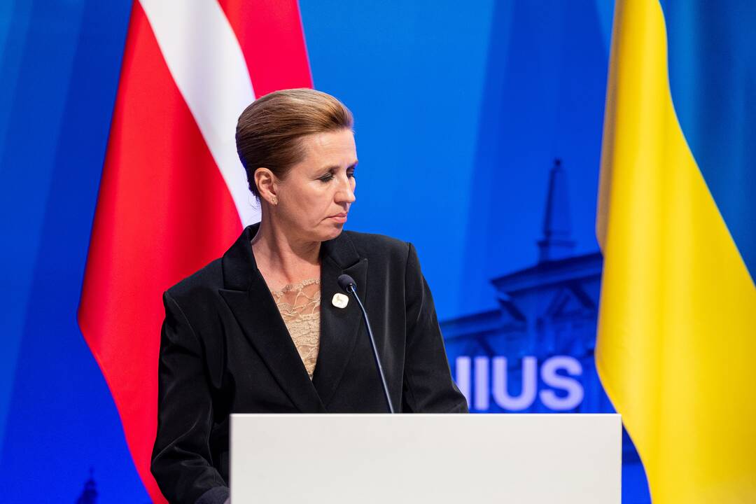 Vilniaus viršūnių susitikimo spaudos konferencija