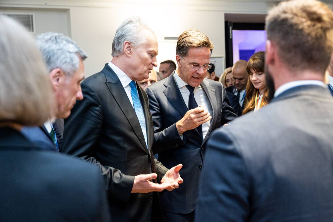 Vilniaus viršūnių susitikimo spaudos konferencija