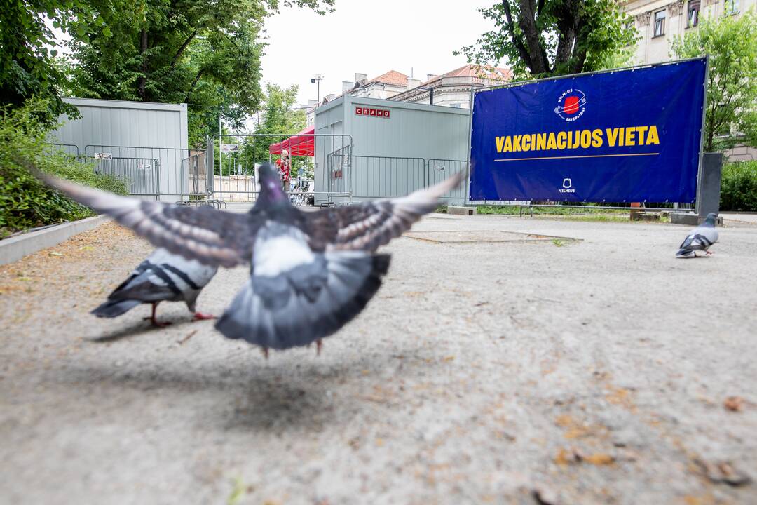 Lukiškių aikštėje atidarytas vakcinacijos centras