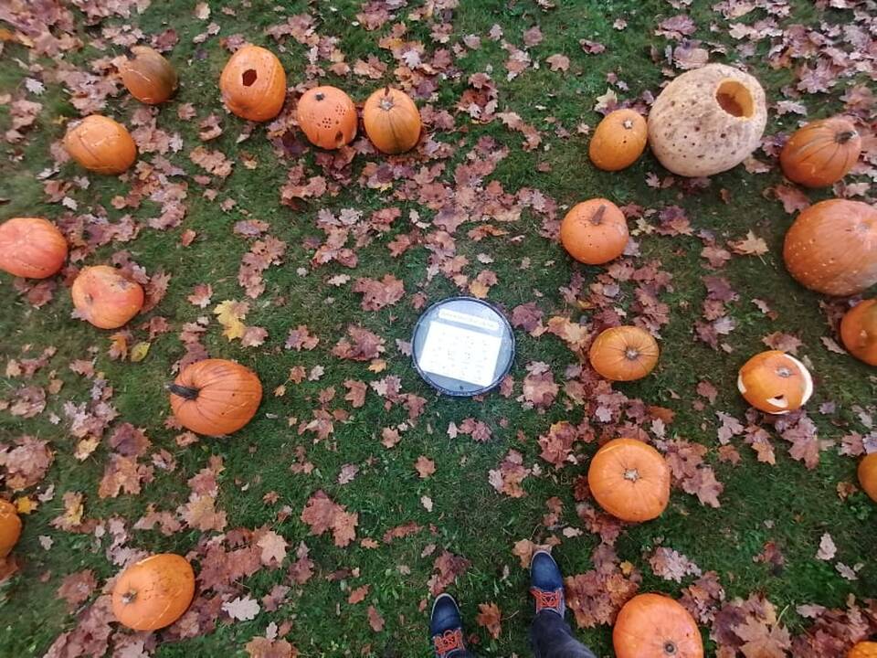 Moliūgų šventė Švėkšnoje