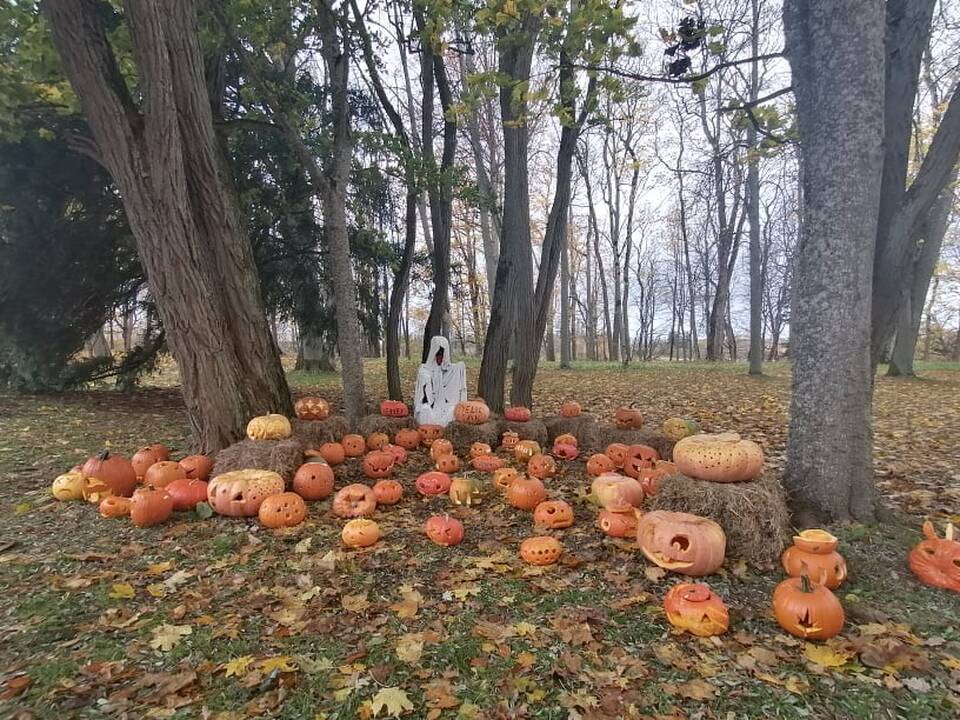 Moliūgų šventė Švėkšnoje