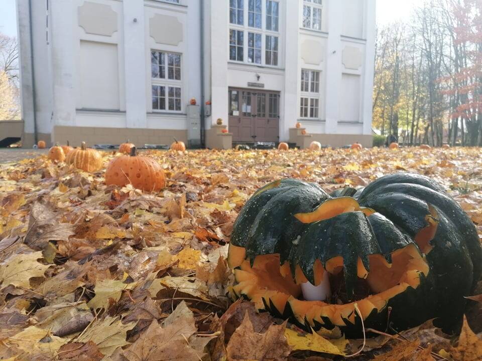 Moliūgų šventė Švėkšnoje