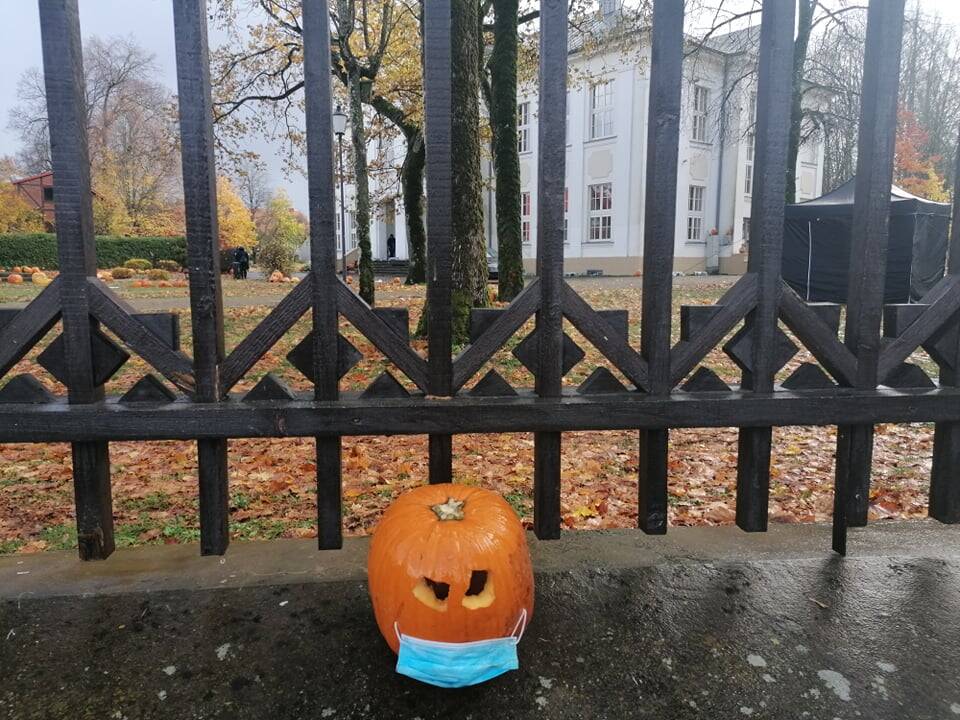 Moliūgų šventė Švėkšnoje