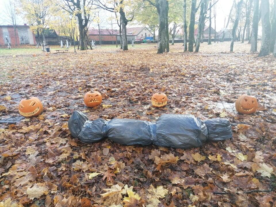 Moliūgų šventė Švėkšnoje