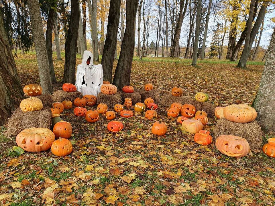 Moliūgų šventė Švėkšnoje