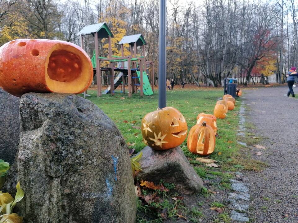Moliūgų šventė Švėkšnoje