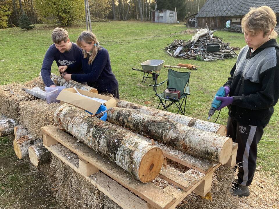 Aistruolė: A. Varnę domina viskas, kas tik susiję su grybais: knygos, filmai, patiekalai.