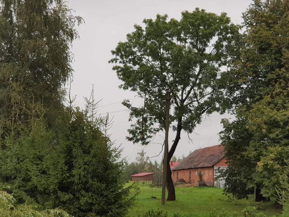 Kauną nuplovė smarkus lietus