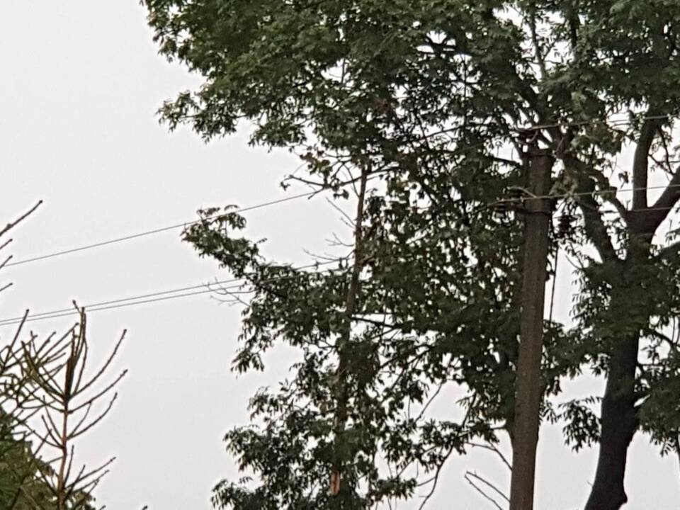 Kauną nuplovė smarkus lietus