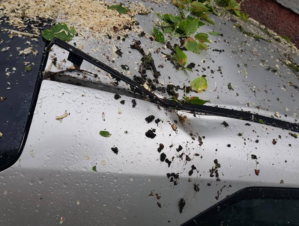 Kauną nuplovė smarkus lietus