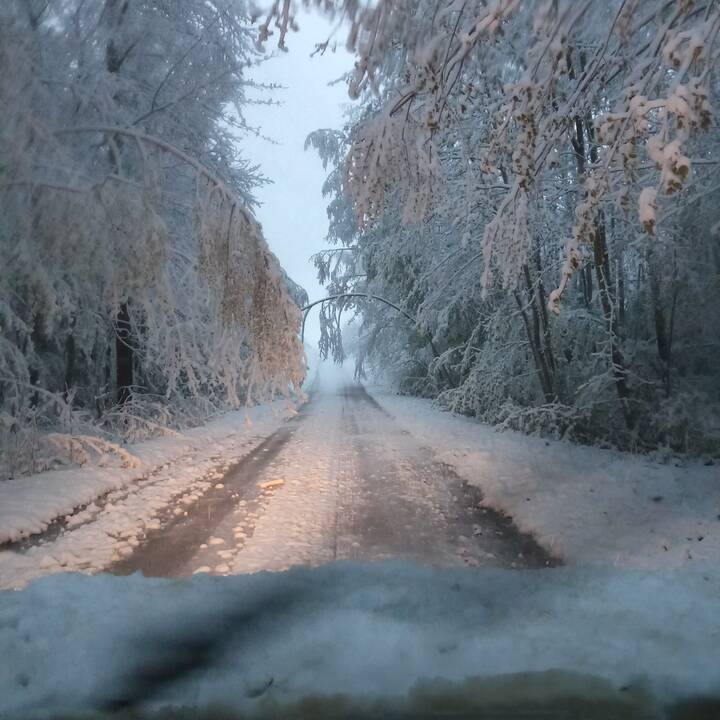 Lietuvoje prisnigo