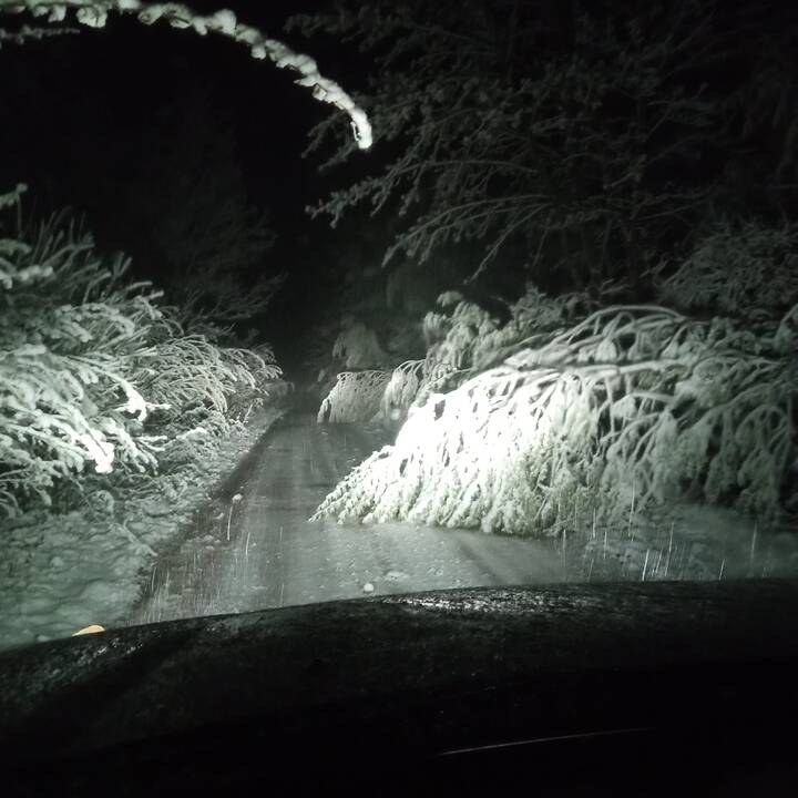 Lietuvoje prisnigo