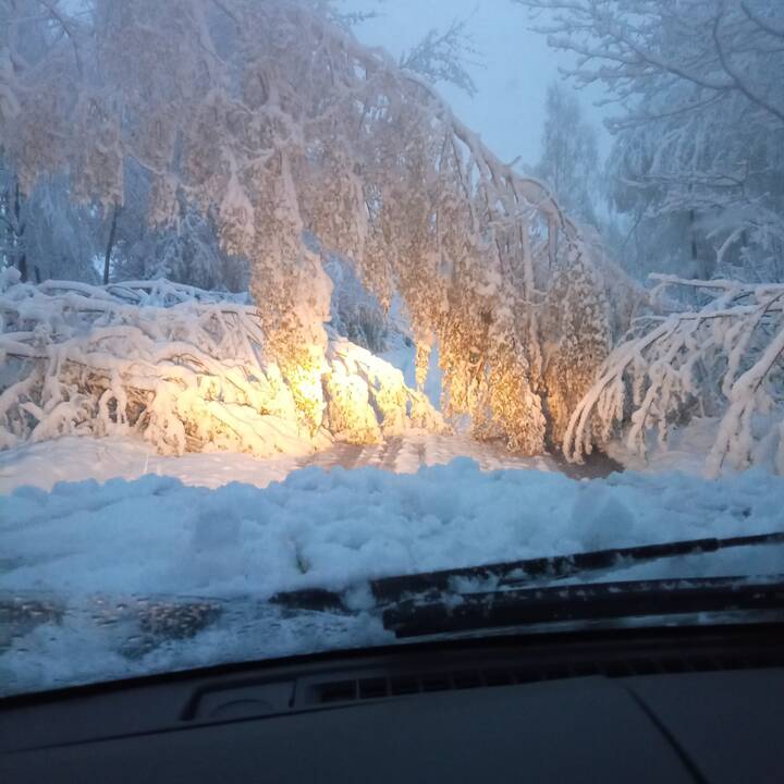 Lietuvoje prisnigo