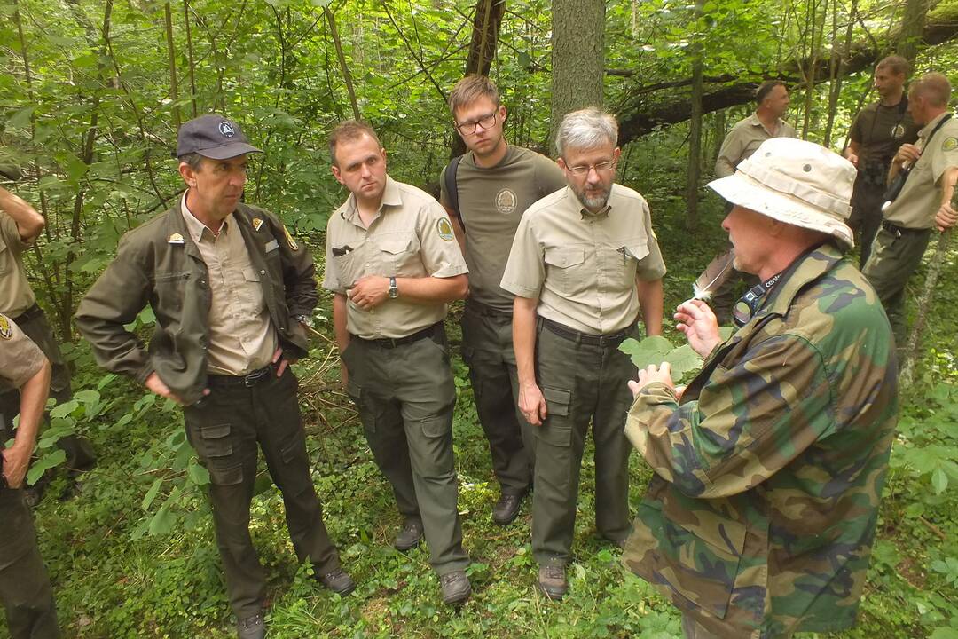Jūriniai ereliai – reti, saugomi plėšrieji paukščiai.