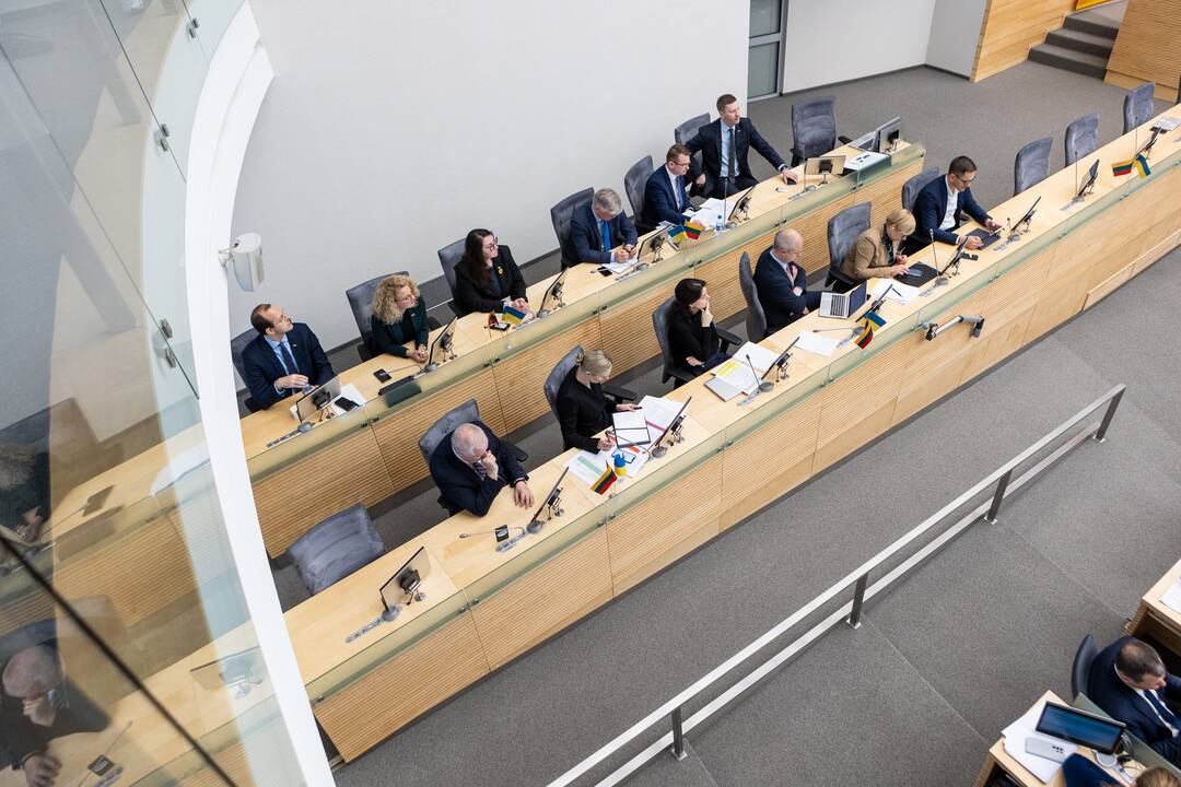 Seime premjerė pristatė praėjusių metų Vyriausybės veiklos ataskaitą