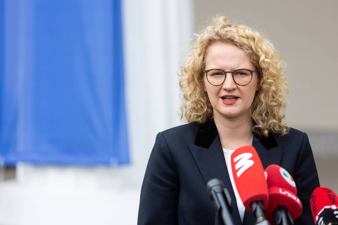 Politikų komentarai po susitikimo prezidentu