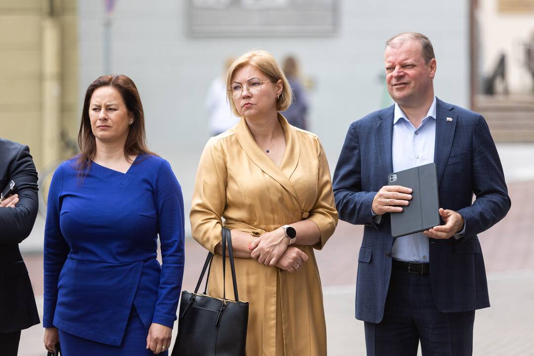 Politikų komentarai po susitikimo prezidentu