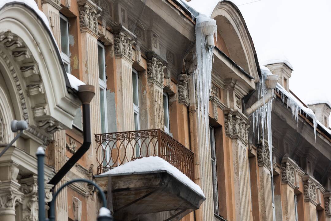 Varvekliai ant namų stogų Mindaugo gatvėje