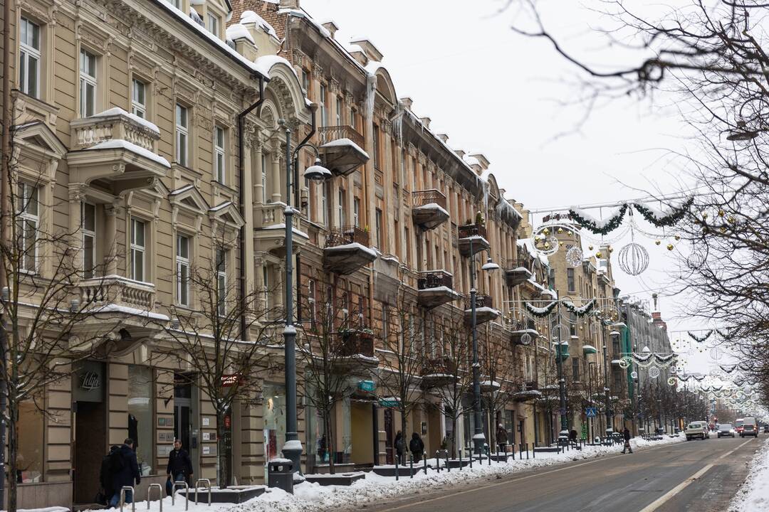 Varvekliai ant namų stogų Mindaugo gatvėje