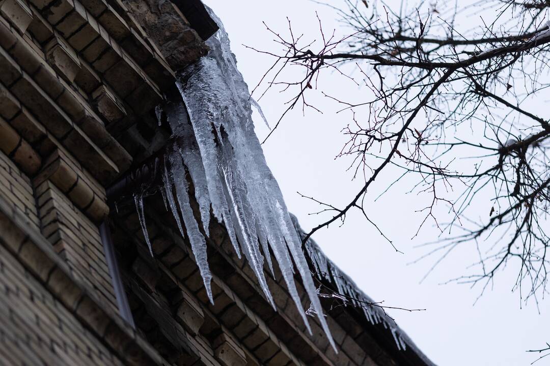Varvekliai ant namų stogų Mindaugo gatvėje
