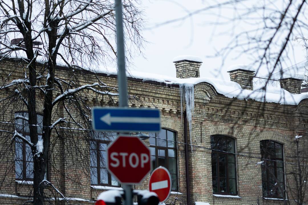 Varvekliai ant namų stogų Mindaugo gatvėje