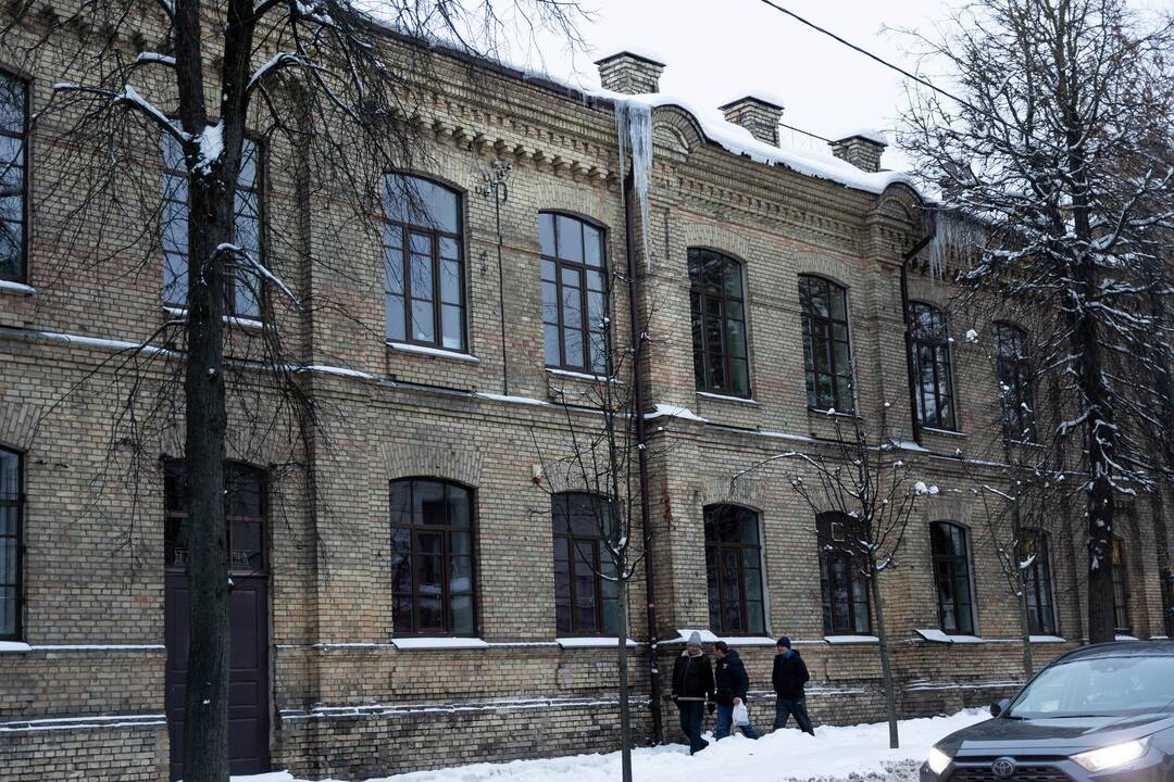 Varvekliai ant namų stogų Mindaugo gatvėje