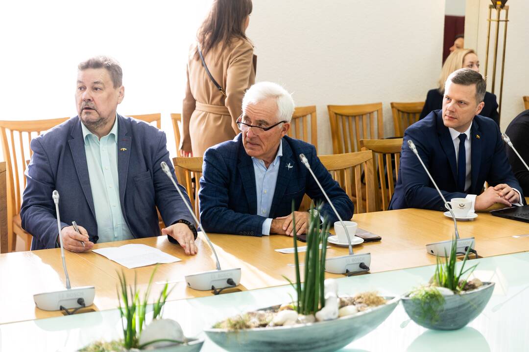 Seimo LVŽS frakcijos susitikimas su VRK pirmininke