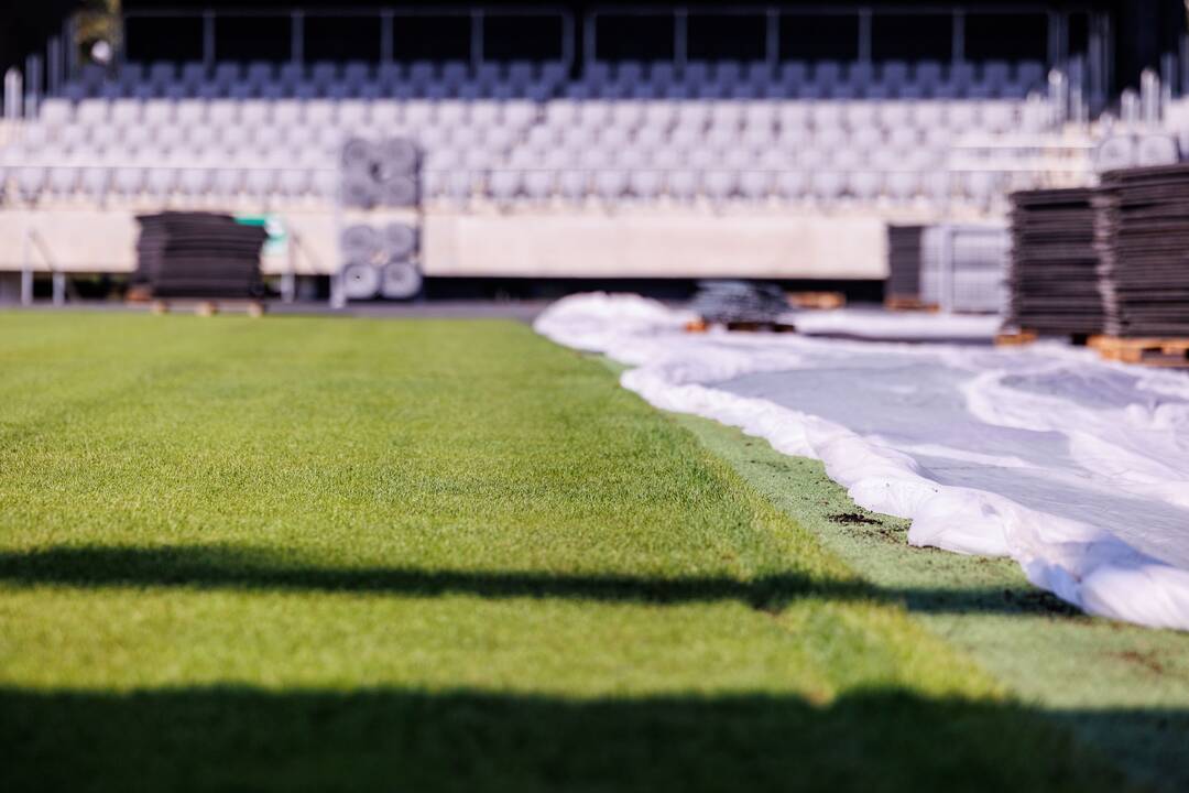 Dariaus ir Girėno stadiono veja