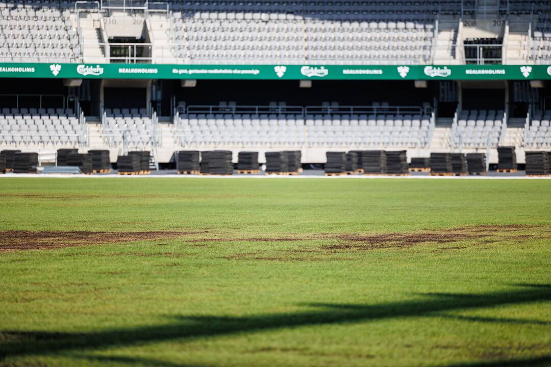 Dariaus ir Girėno stadiono veja