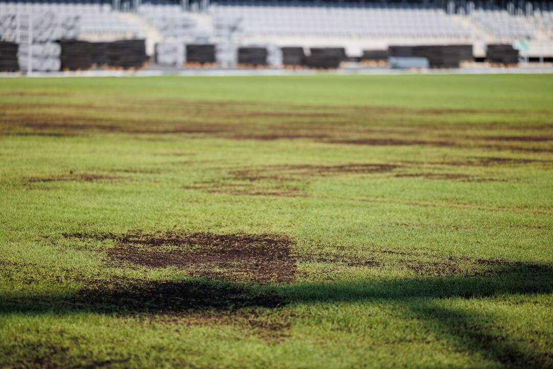 Dariaus ir Girėno stadiono veja