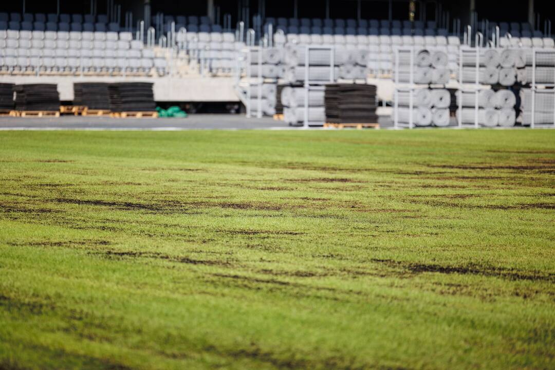 Dariaus ir Girėno stadiono veja