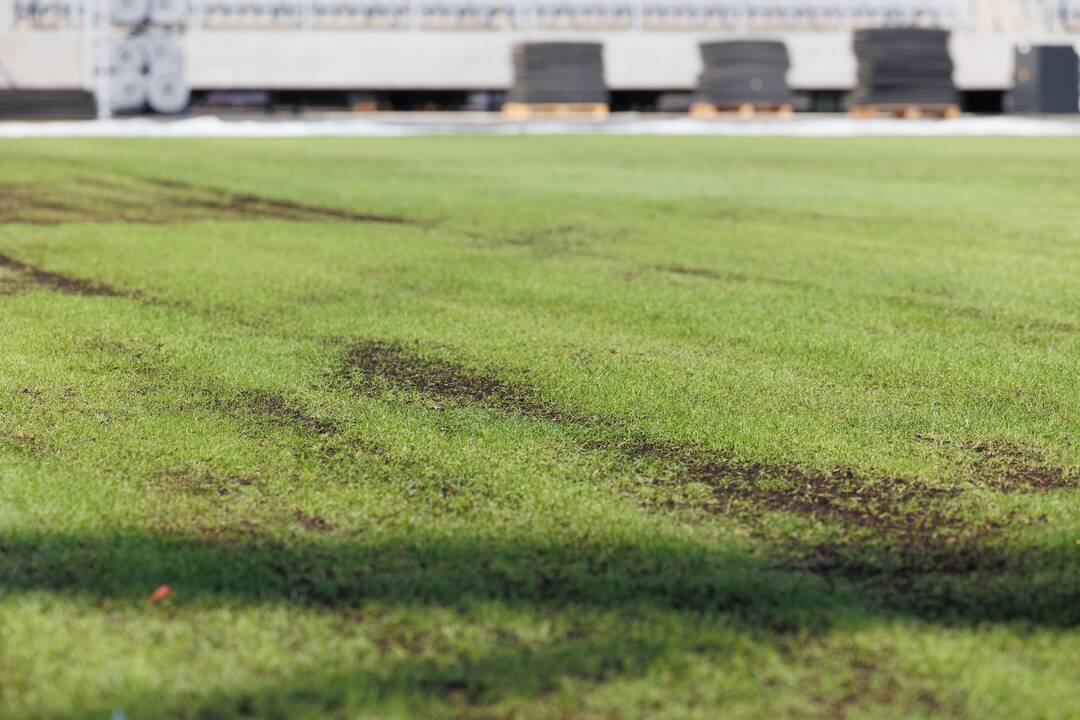 Dariaus ir Girėno stadiono veja
