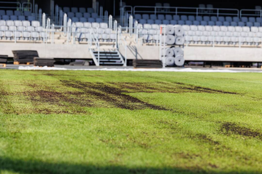 Dariaus ir Girėno stadiono veja
