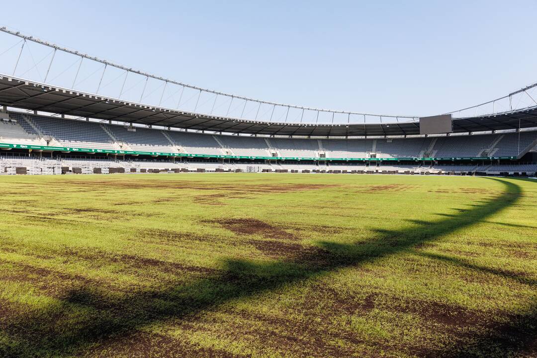 Dariaus ir Girėno stadiono veja