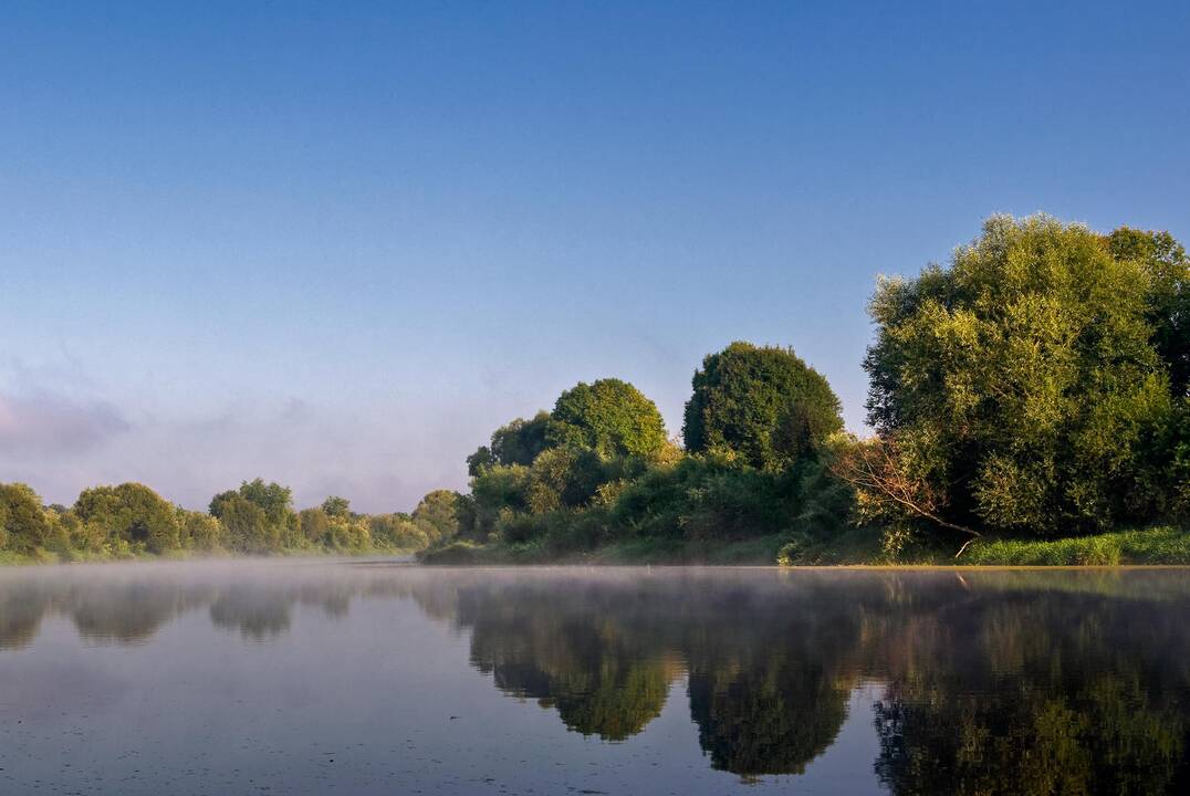 Roko Marmos nuotrauka "Pirmieji spinduliai"