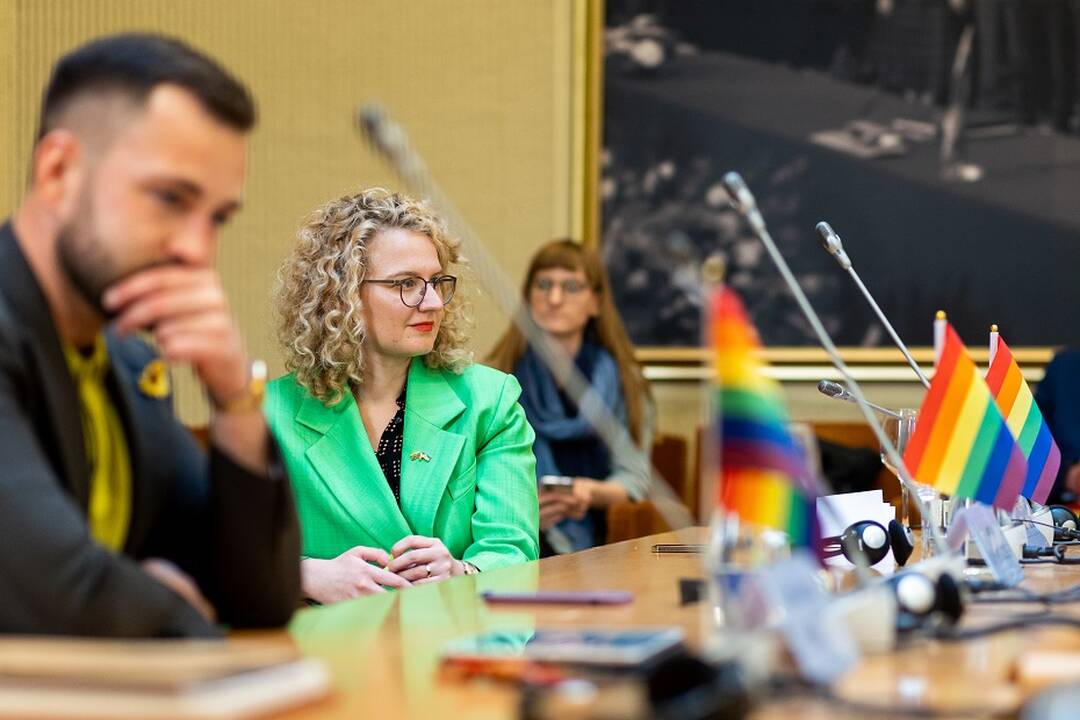 A. Armonaitė tikisi, kad nebus demonizuojamas siūlymas pasakoti vaikams apie LGBTQ
