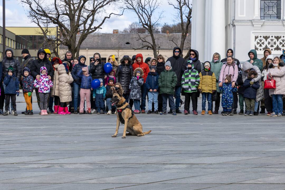 Kaune paminėta Saugaus eismo diena: dėmesys – įvairioms sritims