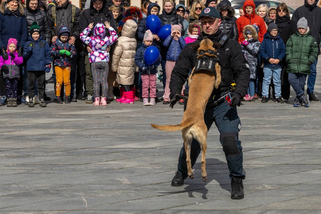 Kaune paminėta Saugaus eismo diena: dėmesys – įvairioms sritims
