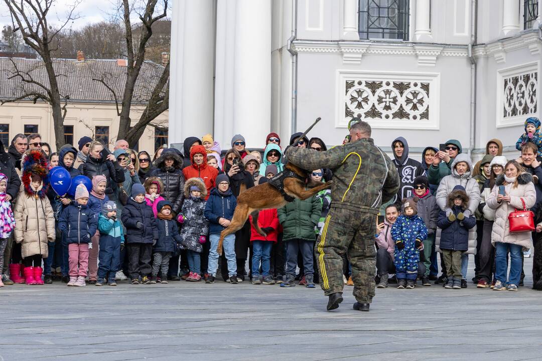 Kaune paminėta Saugaus eismo diena: dėmesys – įvairioms sritims