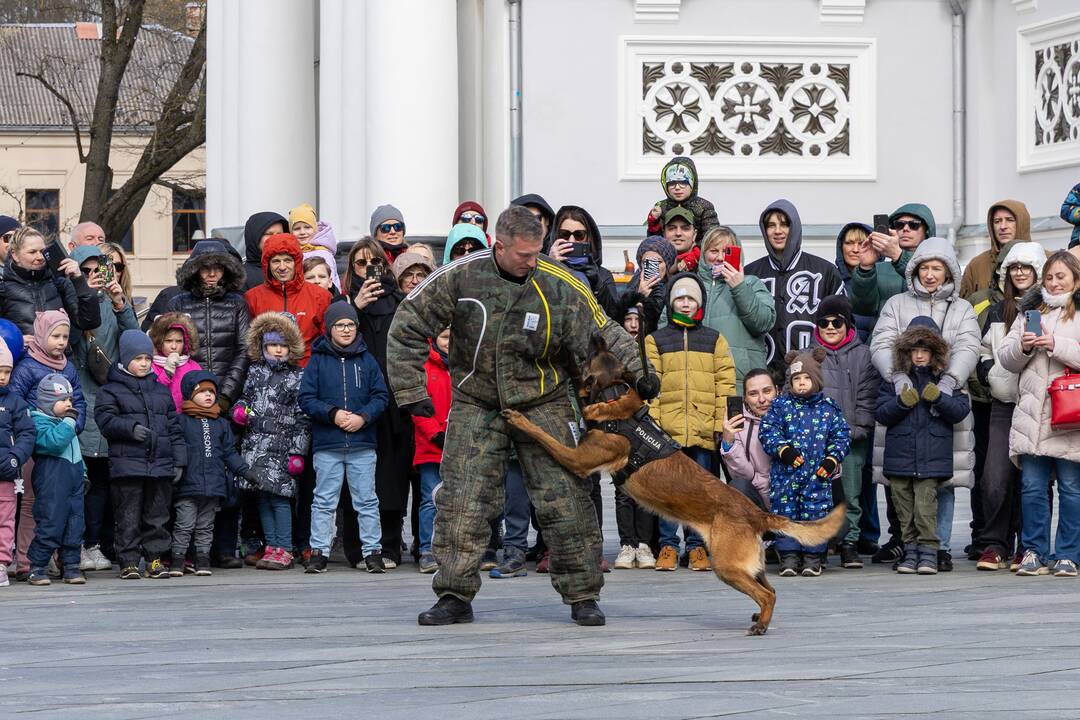 Kaune paminėta Saugaus eismo diena: dėmesys – įvairioms sritims