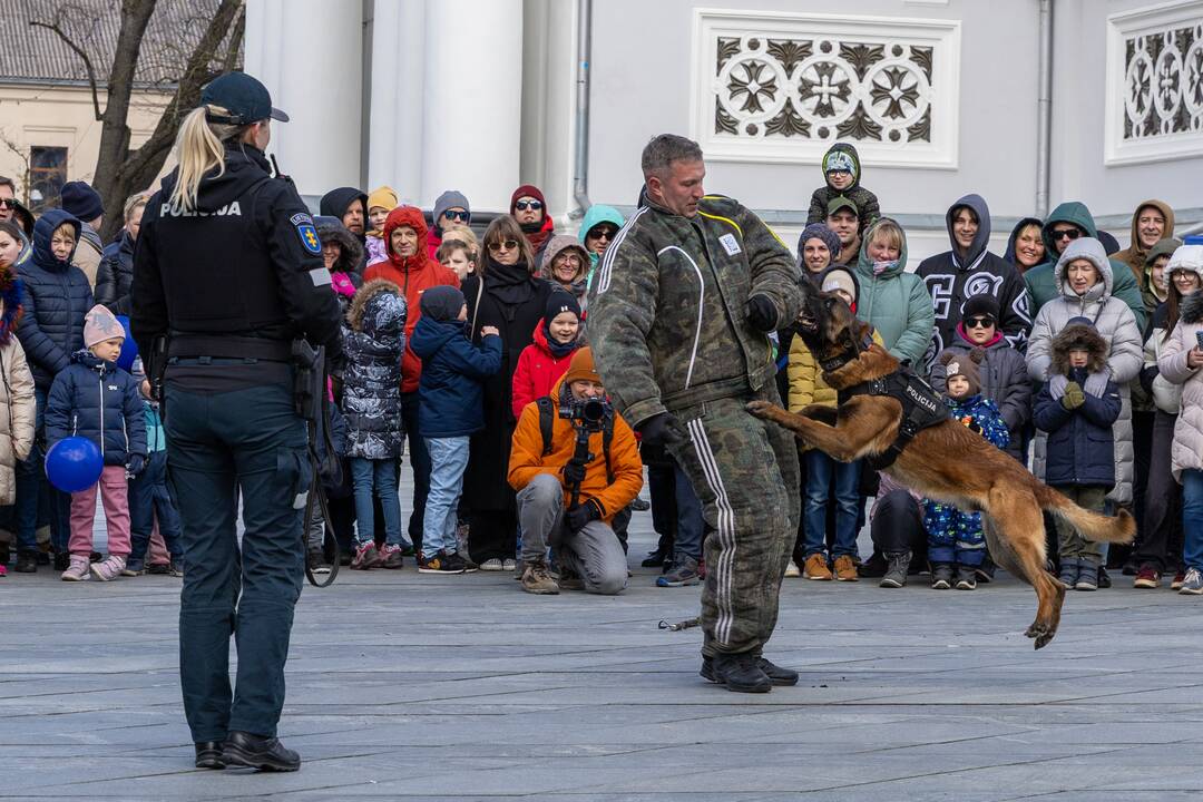 Kaune paminėta Saugaus eismo diena: dėmesys – įvairioms sritims