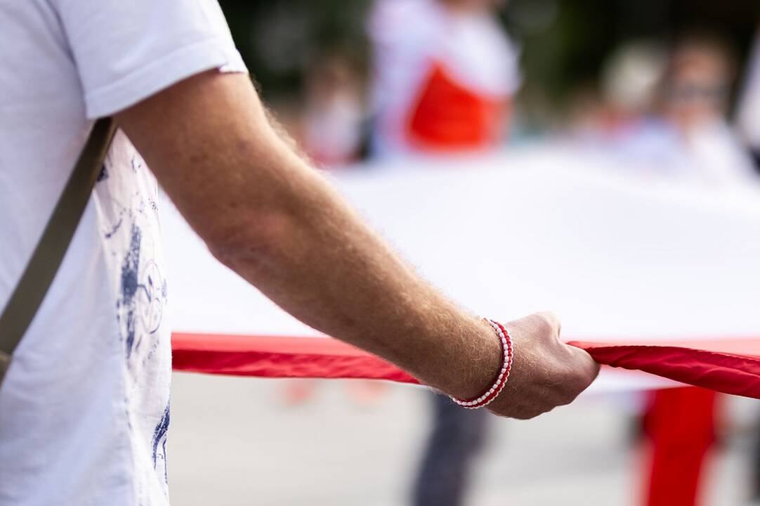 VSD: litvinizmo šalininkų veikla gali padidinti įtampą Lietuvoje tarp etninių grupių
