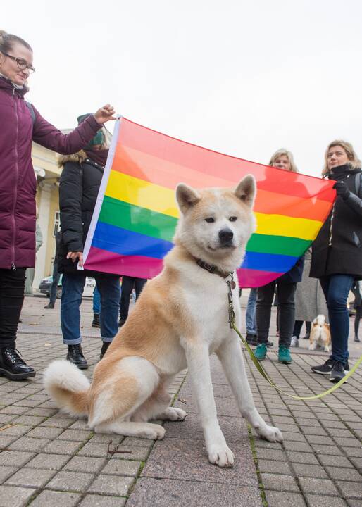 Renginys „Mamos už mamas! Palaikymo valanda Rasai Račienei“