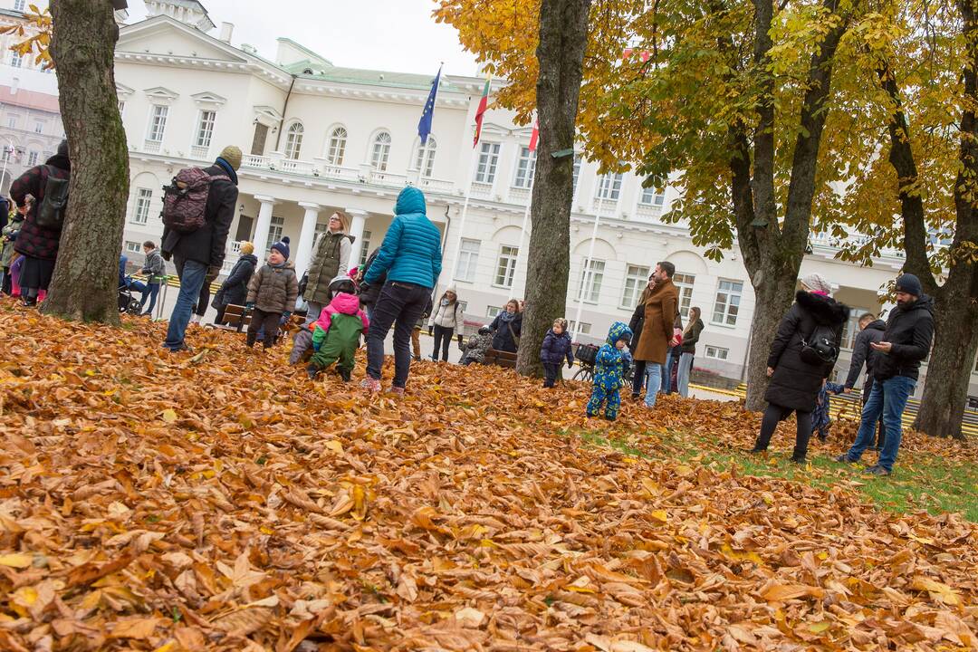 Renginys „Mamos už mamas! Palaikymo valanda Rasai Račienei“