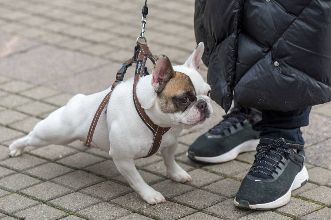 Renginys „Mamos už mamas! Palaikymo valanda Rasai Račienei“