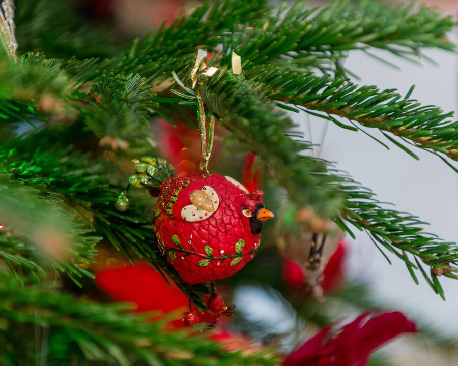 Požiūris: eglutės puošmenos J.Ambraškaitei – ne tik žaisliukai, bet jos giminės istorijos liudytojai. 
