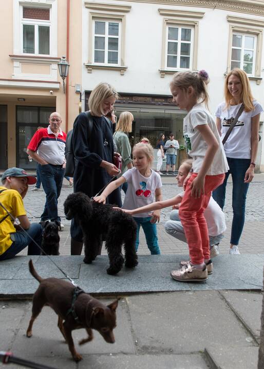 Gatvės muzikos diena Vilniuje