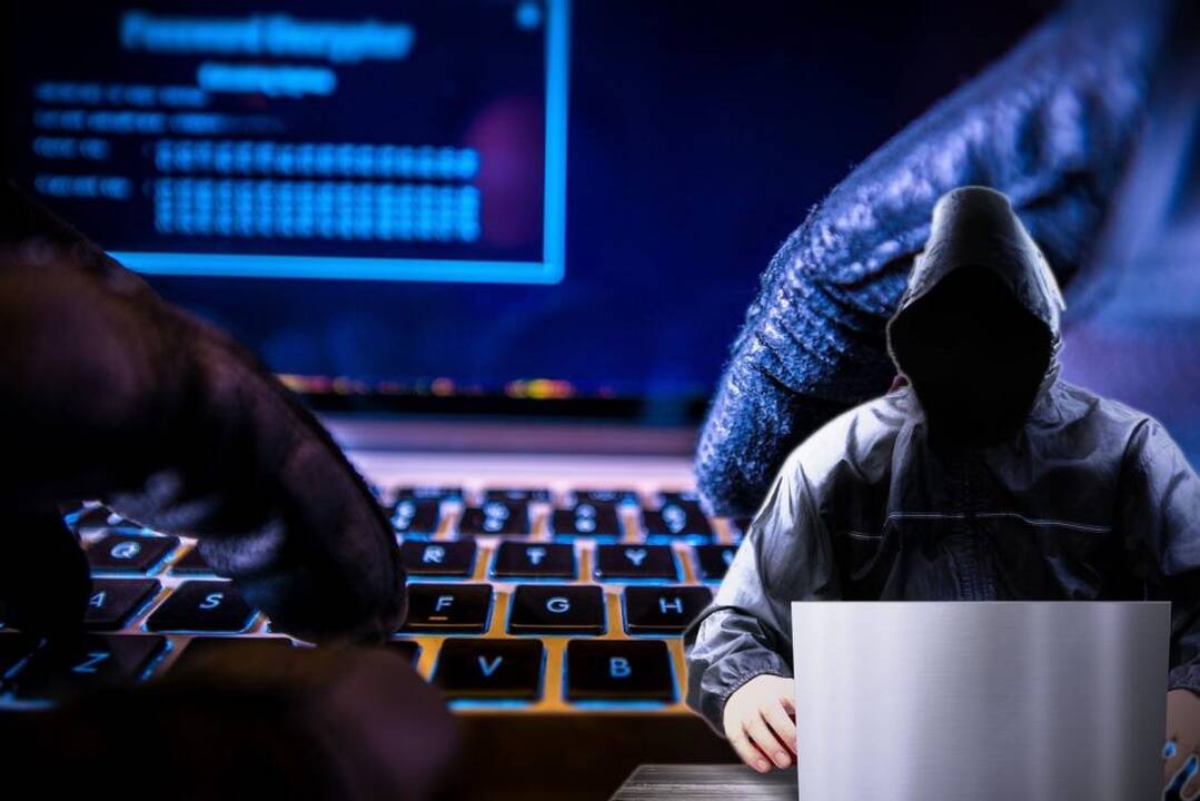 Programišiai bandė įsilaužti į Lietuvos kariuomenės sistemas: pradėtas tyrimas