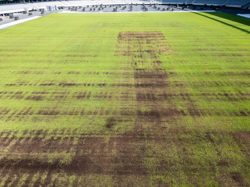 Dariaus ir Girėno stadiono veja